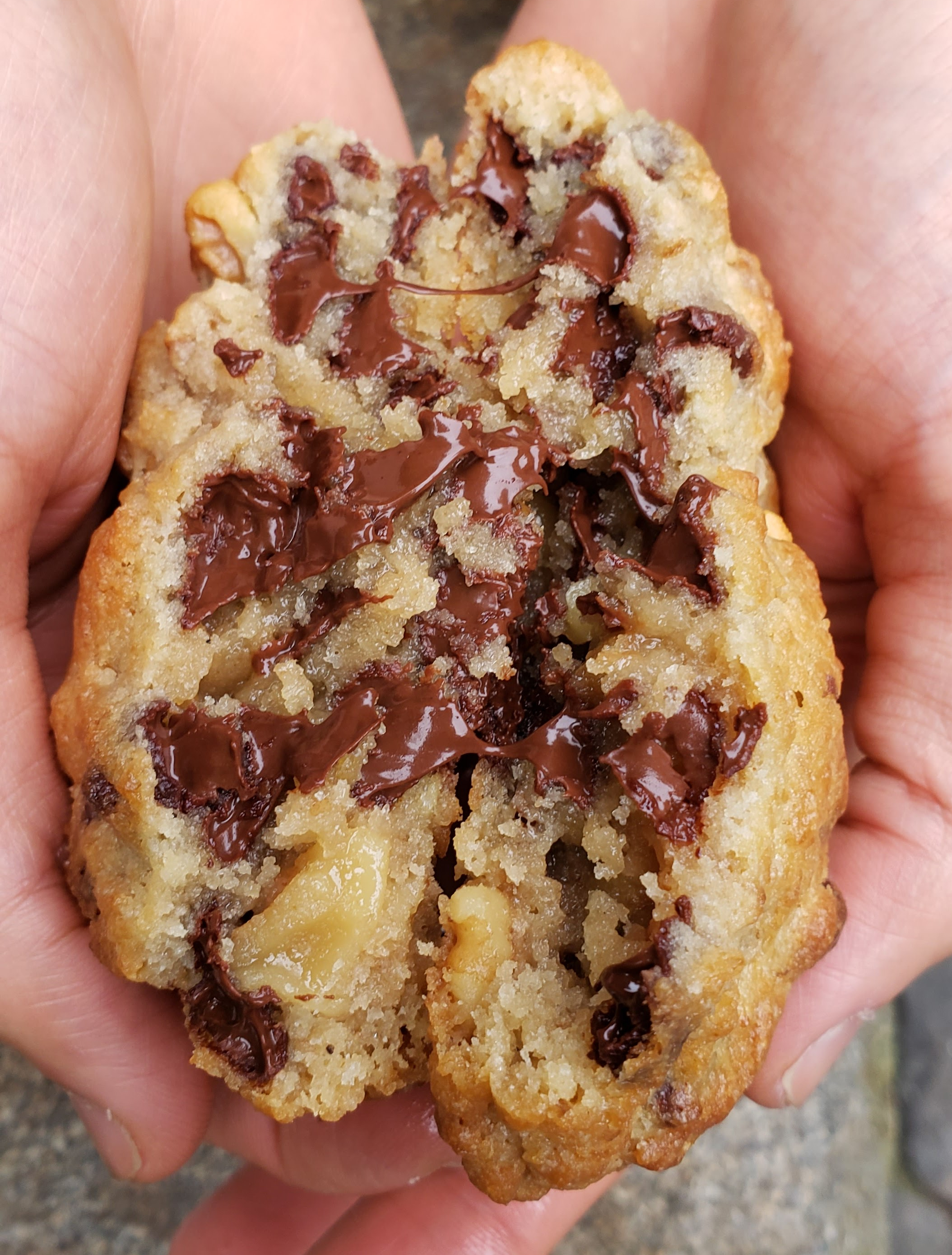 Levain Bakery's signature Chocolate Chip Walnut Cookie 